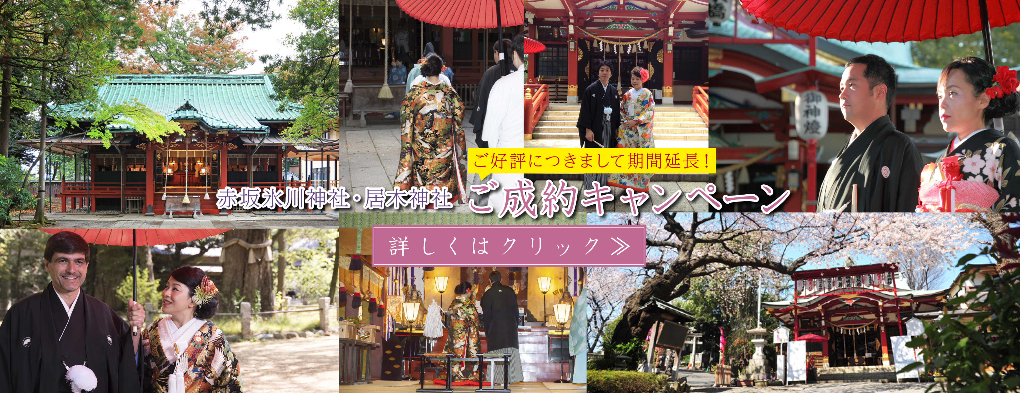 赤坂氷川神社 居木神社神前式プランご成約キャンペーン 和装で結婚式を挙げたい 衣装のレンタルと着付けは東京のブライダルカ レーンにご相談ください